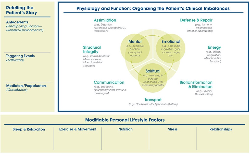 physiology-functions